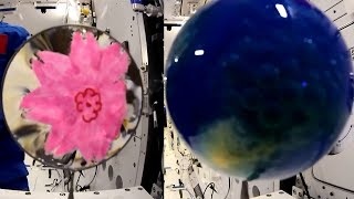 Shenzhou-13 space lecture highlights