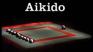 Endo Shihan 1995 Europalia aikido