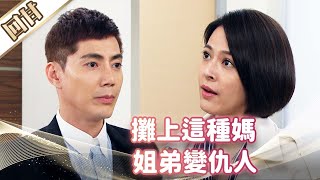 《好戲回甘》市井豪門 EP42 攤上這種媽 姐弟變仇人