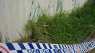 Police mistake Cold Fusion for Drug Lab.