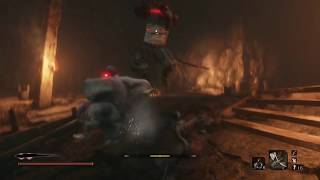 Sekiro - Doujun and Jinzaemon boss fight