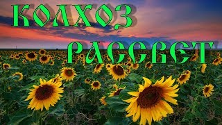 Farming Simulator 2017 Обзор карты Колхоз "Рассвет" v3.3