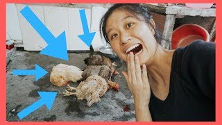 I WITNESSED A SLAUGHTER!!