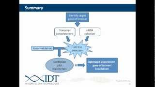 Planning and Executing In Vivo siRNA Experiments