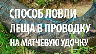 ЛОВЛЯ в ПРОВОДКУ ЛЕЩА, ПОДЛЕЩИКА на РЕКЕ