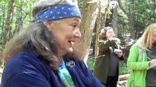 Talking with Trees - Hawthorne Herbal Remedy for Heart Health