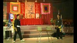 Lam Son Vo Dao - Nailing with bared hand - Vo Su Ho Ngoc Toan Dung Tay Khong Dong Dinh