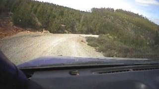 Peterson Nissan Sunny GTi Mountain Stages 2009 Stage 3 (crashed!!)