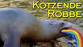 KOTZENDE ROBBE (Besuch im Zoo)