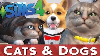 [YENİ YILA ÖZEL] SİMS 4 CATS AND DOGS NASIL İNDİRLİR?:)))