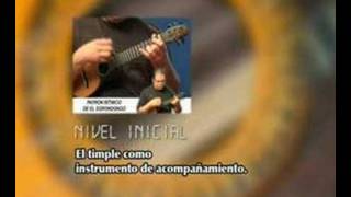 www.escueladetimple.com