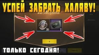 НОВАЯ ХАЛЯВА В | PUBG MOBILE!!