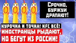 Курочка и точка! Иностранцы рыдают, но бегут из России!