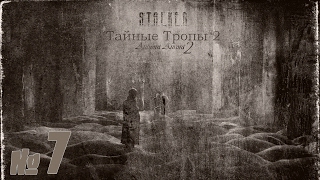STALKER Тайные тропы 2 + Autumn Aurora 2 №7