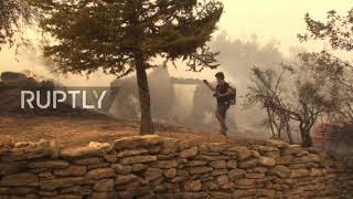 Turkey: "All living things are perishing" - Massive forest fires continue to burn in Manavgat