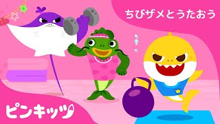 できるよ！みんなで げんこう いちばん うんどうしよう???? | ちびザメと　運動 | ちびザメと歌おう | ベイビーシャーク | ピンキッツ！