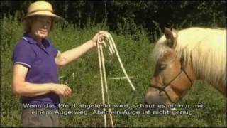 Kate Farmer "Thinking Horse" (DVD), Intro & Kapitel 1, Deutsch