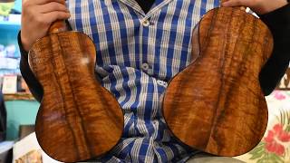 NEW/tkitki HK-C5A&HK-S5A(ShopOrderModel) Set@ukuleleshoptantan