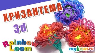 СУПЕР ШИКАРНЫЙ ЦВЕТОК ХРИЗАНТЕМА Лумигуруми Только крючком из резинок Rainbow Loom Bands. Урок 455