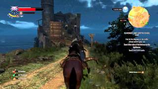 The Witcher 3: How to effectively  kill a Wyvern!