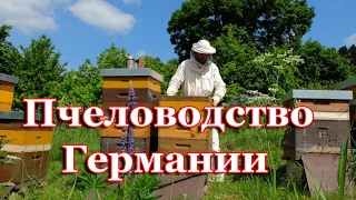 Пчеловодство Германии. Imkerei Deutschland.