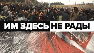 Вплотную к ЕС: мигранты стянулись к закрытому КПП на границе Белоруссии и Польши