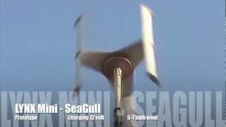 Mini Seagull