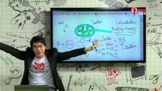 สอนศาสตร์ : PAT 2 ฟิสิกส์ : นิวเคลียร์