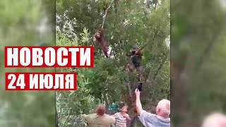 Медвежонка спасли на Камчатке! / Смерть из-за непогоды в Сочи! / ВОЗ про оспу обезьян / Новости