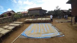 Micro Coffee Farm in Laos, Paksong