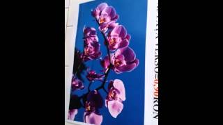 Xerox Dc 242