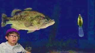 魚がルアーに食いつく衝撃シーン満載釣りゲーム！【メガバスバスライズ】＃２