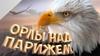 Как вселиться в Птицу в Eagle Flight?