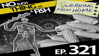 NSTAAF #321 - No Such Thing As A Frothy Beer