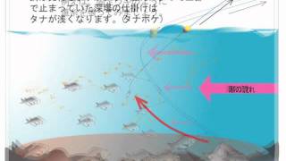 固定ウキと遊動ウキの長所だけを併せ持つ画期的なウキ