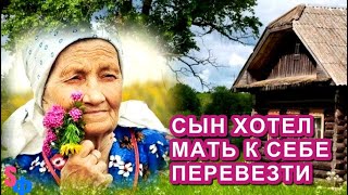 Хотел Павел свою МАТЬ из деревни к себе ПРИВЕЗТИ - но услышав ответ жены …