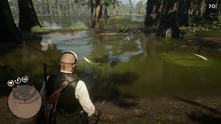 RDR 2: глушение рыбы динамитом