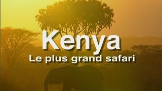 Kenya, le plus grand safari