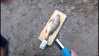 Самая быстрая чистка окуня.The fastest perch cleaning.