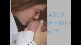 cleaning uncircumcised baby boys