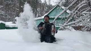 ♫♫  БАЯНИСТ КОЧЕГАР ЖЖЁТ !!!  КОМИССАР - КОРОЛЕВА СНЕЖНАЯ..