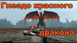 Archeage 5.5 Гнездо красного дракона