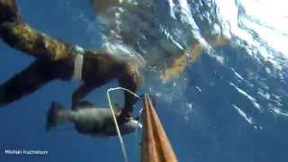 Spearfishing in Miami.