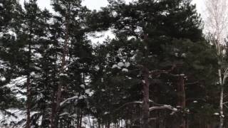 Зерен зимой