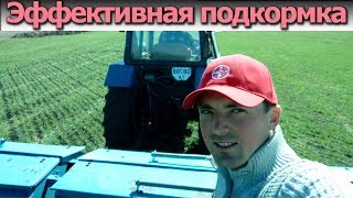 Прикорневая подкормка озимой. Эффективный способ внесения удобрения