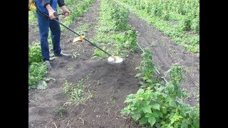 Як позбавитись бур'яну.Прополка городу.Бензосапалка.