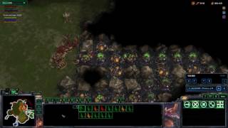 Starcraft 2 - Ant Colonies 3v3 Ranked (14) Why Black Ants are for late Game