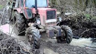 MTZ-82 rönkszállítás elakadás