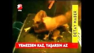 Kaz nasıl pişilir?