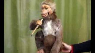 Smoking Automaton Monkey